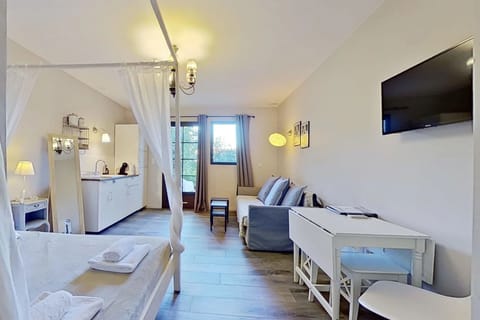 Classic Room, Patio, Garden View | Living area | TV