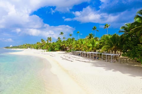 Private beach, sun loungers, beach towels, scuba diving