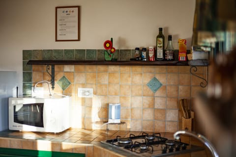 Villa, 2 Bedrooms (private garden) | Private kitchen