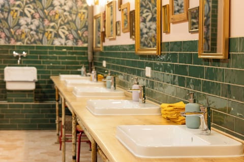 Shower, towels, toilet paper