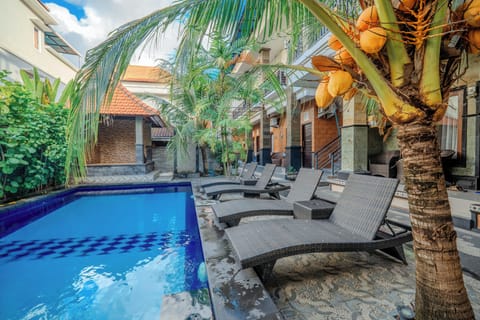 Outdoor pool, sun loungers