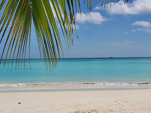 On the beach, white sand, kayaking