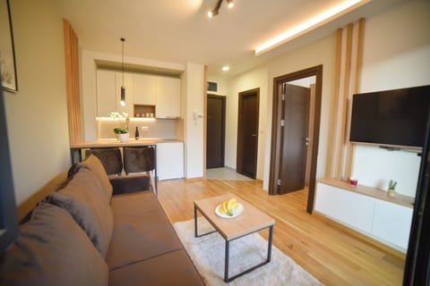 Classic Apartment, Balcony, City View | Living area | TV