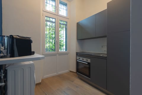 Deluxe Studio | Private kitchen | Freezer