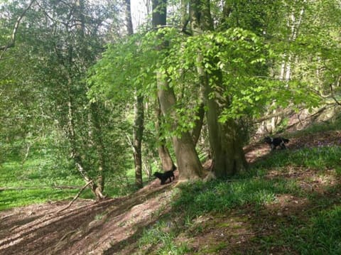 Chalet | View from property