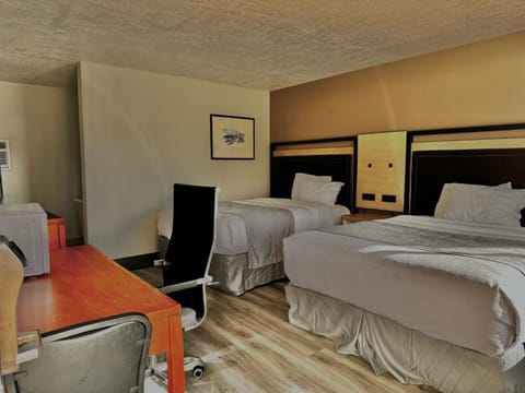 Basic Double Room, 2 Queen Beds | Desk, free WiFi, bed sheets