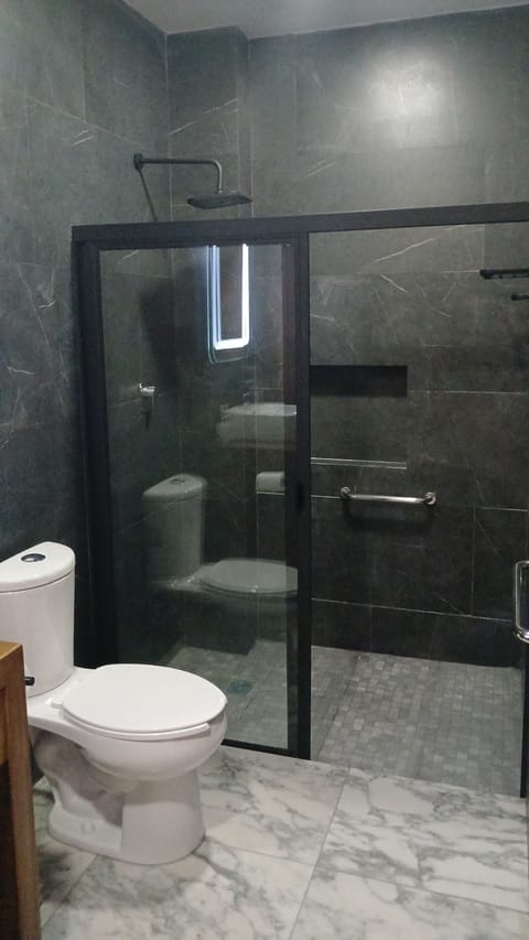 Deluxe Double Room | Bathroom | Shower, free toiletries, towels, soap