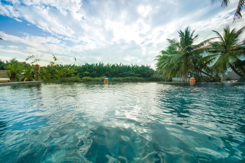 Outdoor pool, an infinity pool, sun loungers