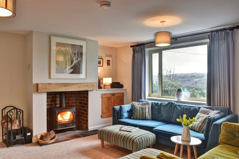 House | Living room | Fireplace