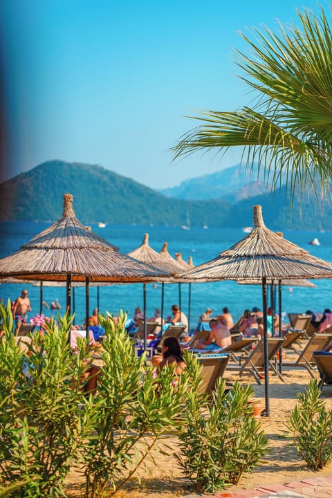 On the beach, free beach shuttle, free beach cabanas, sun loungers