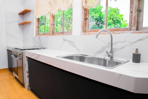 Premium Double Room, Kitchen | Private kitchenette