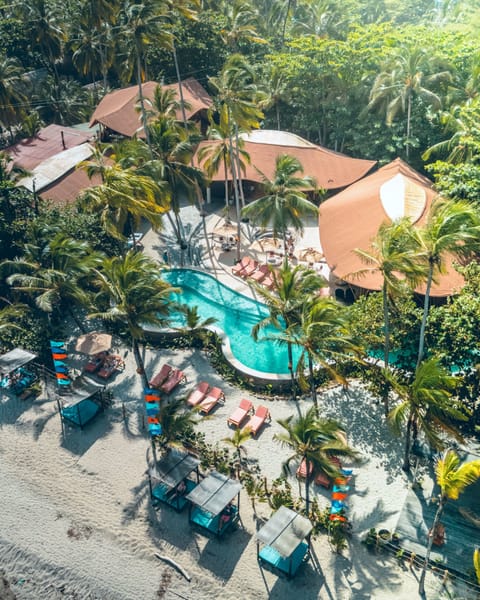 Outdoor pool, pool umbrellas, sun loungers