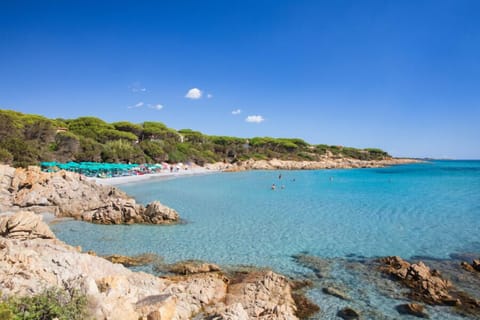 Free beach shuttle
