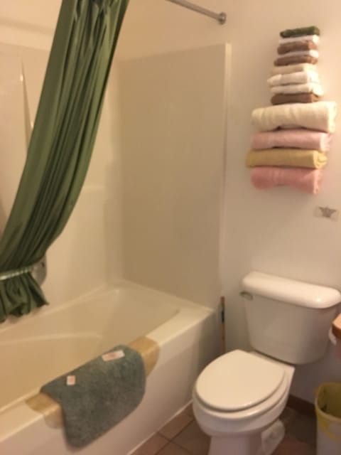 Bathroom | Combined shower/tub, deep soaking tub, rainfall showerhead, towels