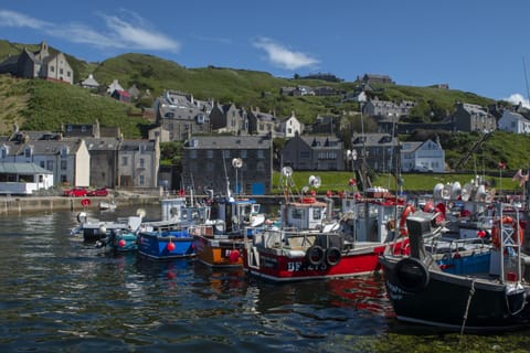 Cottage | Marina