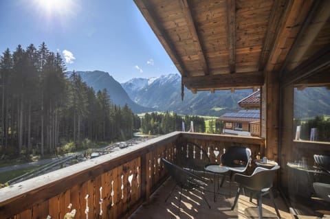 Chalet | Property grounds