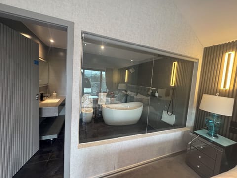 Deluxe Studio Suite, Balcony, Mountain View | Premium bedding, down comforters, free WiFi