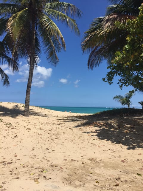 Beach nearby, white sand, beach towels