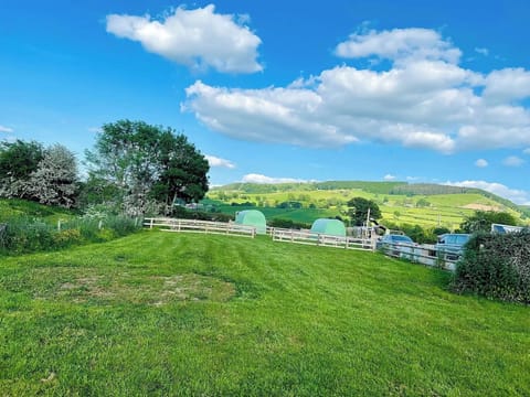 Cabin | Property grounds