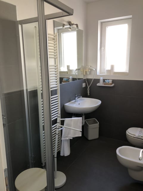 Hair dryer, bidet, towels