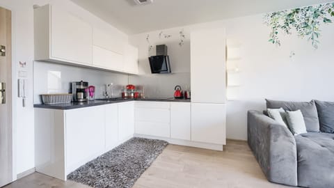 Apartament (305) Pool View | Private kitchen | Fridge, stovetop, espresso maker, electric kettle