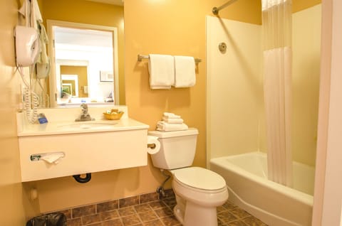 Combined shower/tub, free toiletries, hair dryer, towels