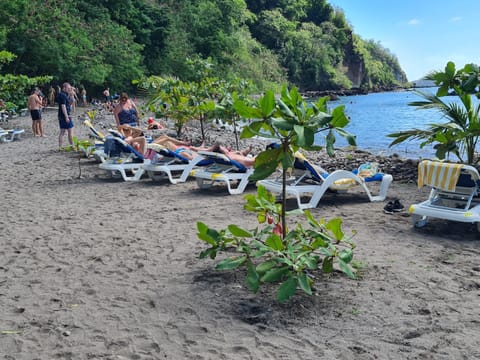 On the beach, black sand
