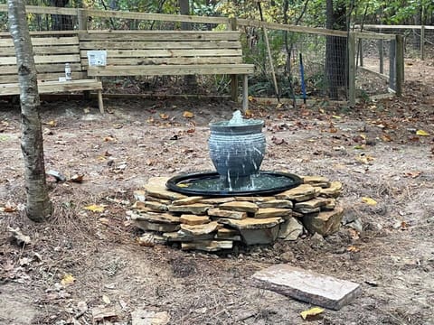 Pet-friendly amenities