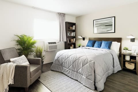 Desk, WiFi (free), bed sheets