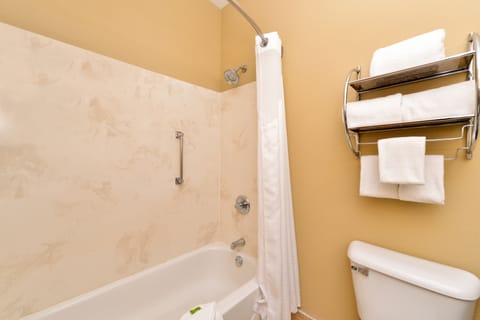 Combined shower/tub, free toiletries, hair dryer, towels