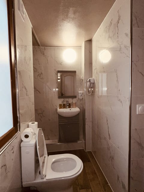 Triple Room | Bathroom | Shower, free toiletries, hair dryer, towels