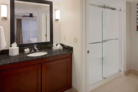 Hair dryer, towels, soap, shampoo