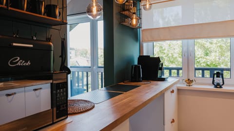 Apartment (10) | Private kitchen | Fridge, stovetop, electric kettle, cookware/dishes/utensils