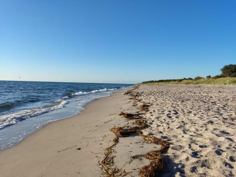 House | Beach