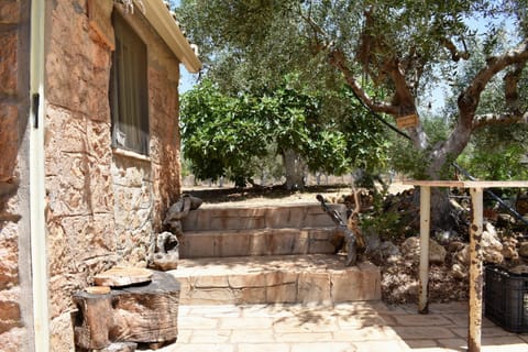 Cottage | Property grounds