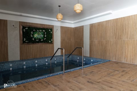 Indoor spa tub