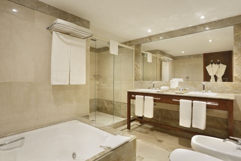 Suíte Master | Bathroom | Free toiletries, hair dryer, bidet, towels