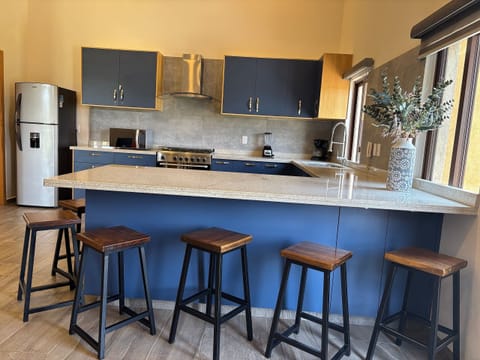 Premium Apartment | Private kitchen | Fridge, oven, blender, cookware/dishes/utensils