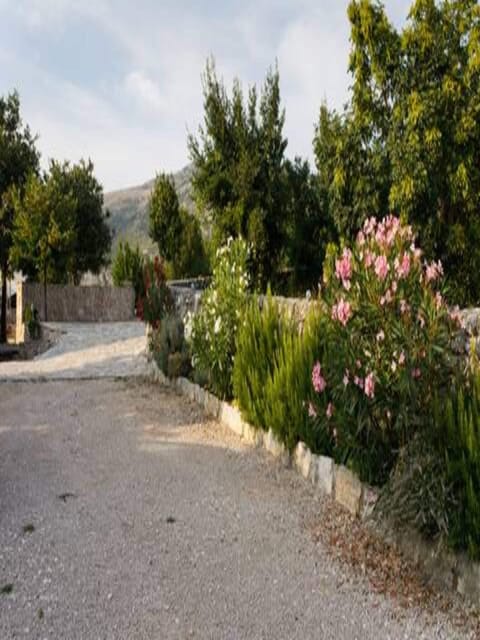 House (Holiday Home Lišnjak) | Exterior