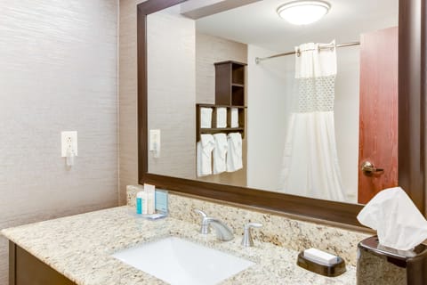 One king study sofabed non smoking | Bathroom | Free toiletries, hair dryer, towels, soap