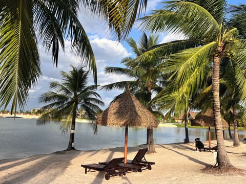 Beach nearby, white sand, sun loungers, beach umbrellas