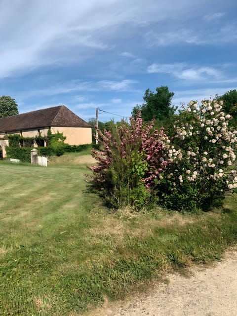 House | Garden