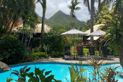Outdoor pool, pool umbrellas, sun loungers