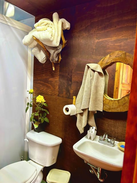Panoramic Tree House, Mountain View | Bathroom