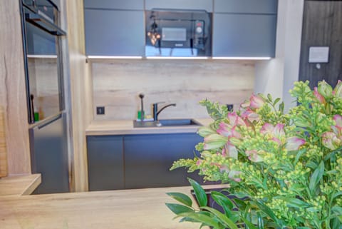 Comfort Apartment | Iron/ironing board, free WiFi