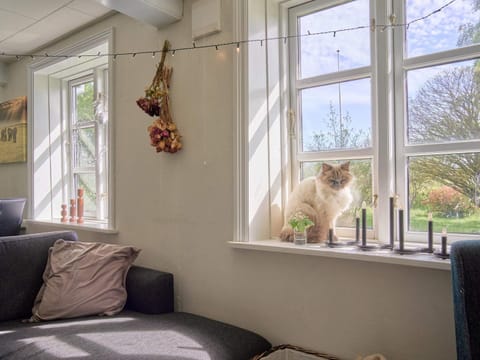 House | Interior