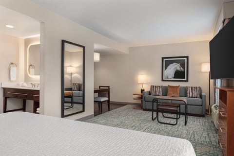 Studio Suite, 1 King Bed, Non Smoking | Living area | 50-inch flat-screen TV with satellite channels, TV