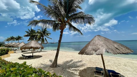 Private beach, white sand, sun loungers, beach umbrellas