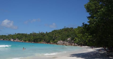 Beach nearby, white sand
