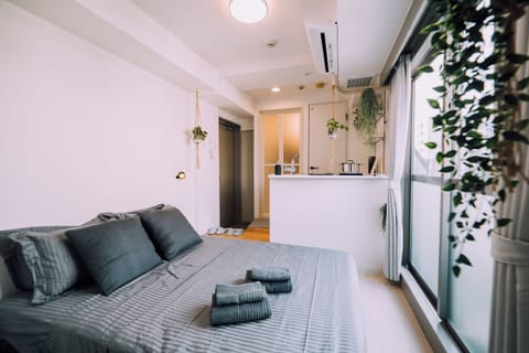 Apartment, 1 Double Bed, Non Smoking | Desk, iron/ironing board